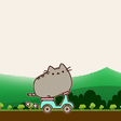 Pusheen Cat Game icon