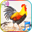 Icono de programa: Funny Wake Up Ringtones