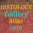 Icon of program: Histology Atlas 2019