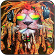 Icon of program: Reggae ringtones free