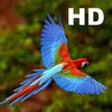 Icon of program: Parrot Catalog HD