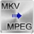 Icon of program: Free MKV to MPEG Converte…