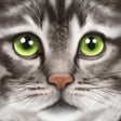 Icon of program: Ultimate Cat Simulator