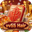 Icono de programa: vv55Hair