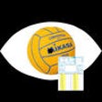 Icon of program: Waterpolo Electronic Scor…
