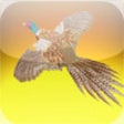 Icon of program: Pheasant Calls