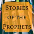 Icon of program: STORIES OF THE 25 PROPHET…