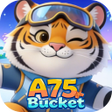 Icon of program: A75Bucket
