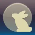 Icon of program: Moon Rabbit