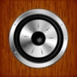 Icon of program: Estimate Sound System Out…