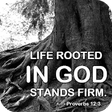 Icono de programa: Bible Quotes 4K HD Wallpa…