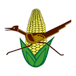 Icono de programa: Roadrunner
