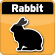 Icon of program: Rabbit Breeding Calculato…