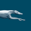 Icon of program: Greyhound Lines