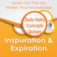 Icon of program: Inspiration & Expiration
