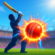 Icon of program: Cricket Hitter - Home Run