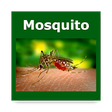 Icono de programa: Mosquito
