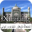 Icon of program: History of Xinjiang