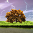 Icono de programa: Spring Storm Live Wallpap…
