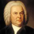 Icon of program: Bach Brandenburg Concerto