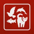 Icon of program: Animal for Whatsapp