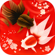 Icon of program: 和金魚LE