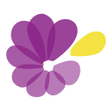 Icon of program: wadaCrush