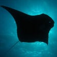 Icon of program: Lady Elliot Island
