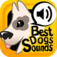 Icon of program: The Best Dogs Sounds