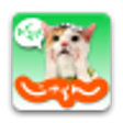 Icon of program: Jalan Japan Tourist Guide