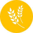 Icon of program: Agriculture