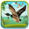 Icono de programa: Duck Hunting 3D