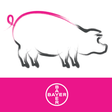 Icon of program: BCS SowDition