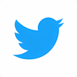 Icon of program: Twitter Lite