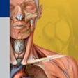 Icon of program: Thieme Anatomy on the Go …