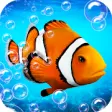 Icon of program: Ocean Clownfish Simulator…
