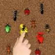Icon of program: Bug Smasher Game Lite