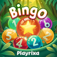 Icon of program: Bingo Playrixa