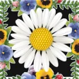 Icon of program: Flowers Photo Collage