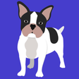 Icon of program: My French Bulldog