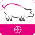 Icon of program: BCS SowDition