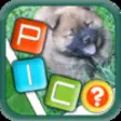 Icon of program: Guess The Puppy Pic