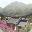 Icon of program: Beauty of Korea