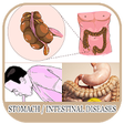 Icono de programa: All Stomach Diseases and …