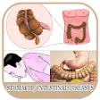 Icon of program: All Stomach Diseases and …
