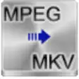 Icon of program: Free MPEG to MKV Converte…