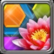 Icon of program: HexLogic - Flowers