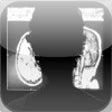 Icon of program: Brain MRI Atlas