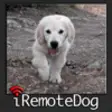 Icon of program: iRemoteDog - Control your…