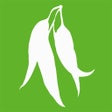 Icon of program: Macquarie Complete Austra…